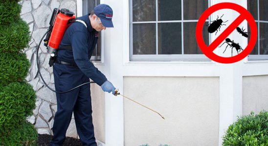 Kırıkkale Karınca İlaçlama böcek ilaçlama ve haşere kontrolü — ilaclama-tr.com